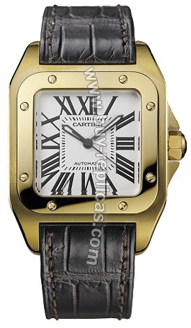 Cartier Santos 100 Ladies Watch W20112Y1