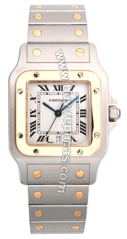 Cartier Santos Two-Tone 18kt Yellow Gold and Steel Mens Watch W20011C4