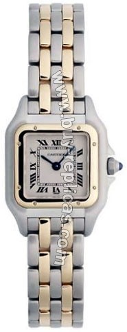 Cartier Panthere 18kt Yellow Gold and Steel Ladies Watch W25029B6