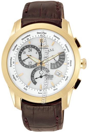 Citizen Calibre 8700 Eco-Drive Perpetual Calendar Mens Watch BL8002-08A