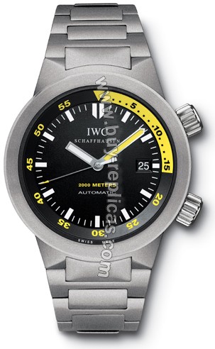 IWC Aquatimer Automatic 2000 Titanium Mens Watch 3538-03