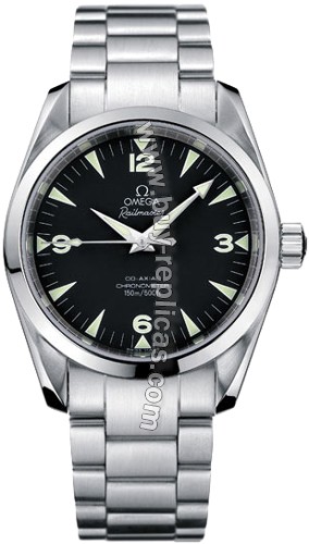 Omega Seamaster Aqua Terra Steel Black Unisex Watch 2504.52