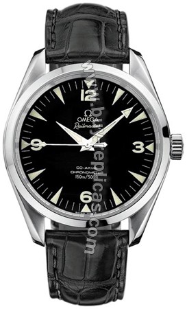 Omega Seamaster Aqua Terra Steel Black Mens Watch 2802.52.31