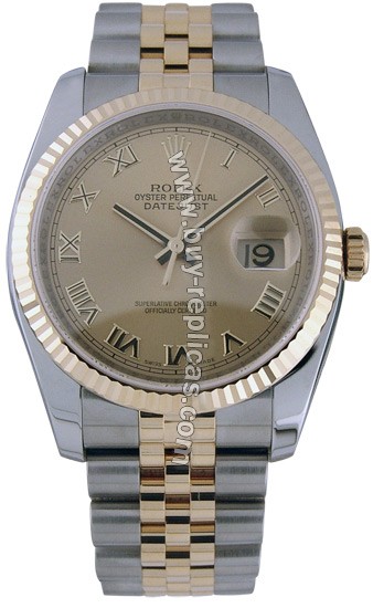 Rolex Oyster Perpetual Datejust 18kt Gold and Steel Mens Watch 116233CHRJ