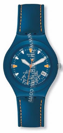 Swatch Watch Epathlo YGN4001